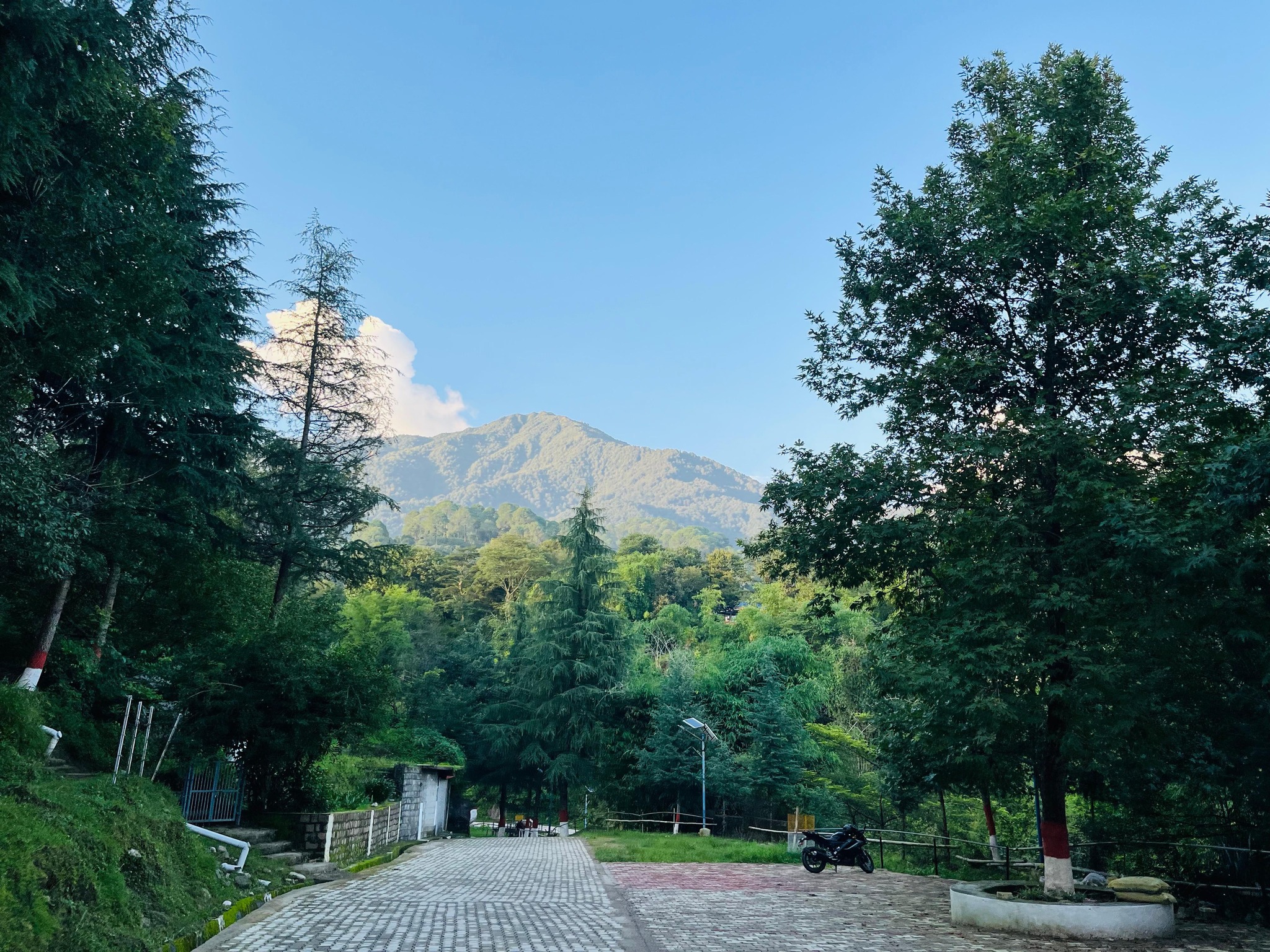 Entrance road to Himalayan Valley Homestead